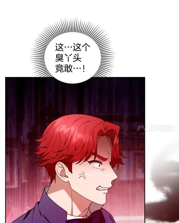 漫画《怀了恶棍的孩子》79.单独觐见第104张图