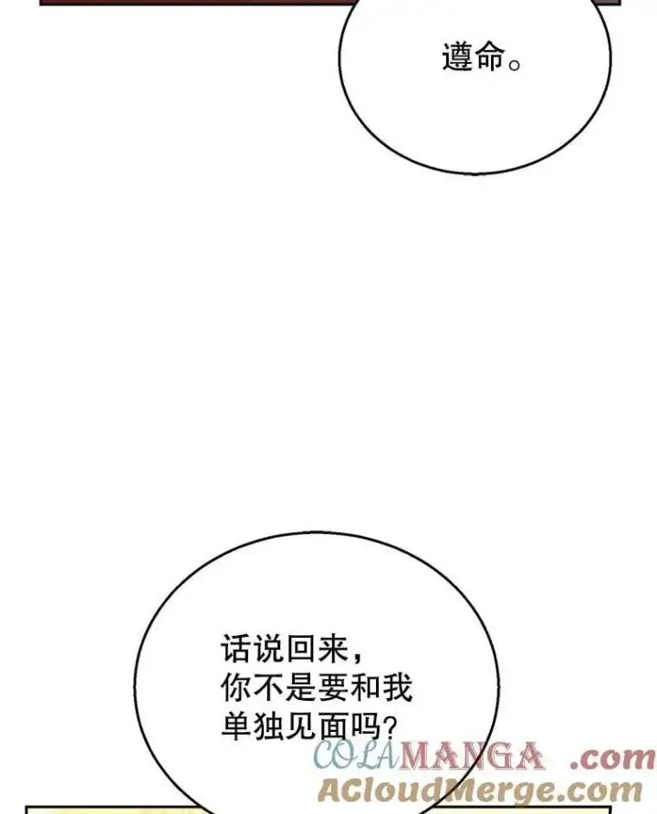 漫画《怀了恶棍的孩子》79.单独觐见第21张图