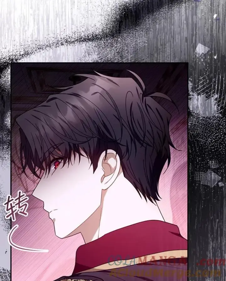漫画《怀了恶棍的孩子》79.单独觐见第53张图
