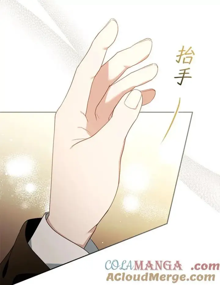 漫画《怀了恶棍的孩子》79.单独觐见第89张图