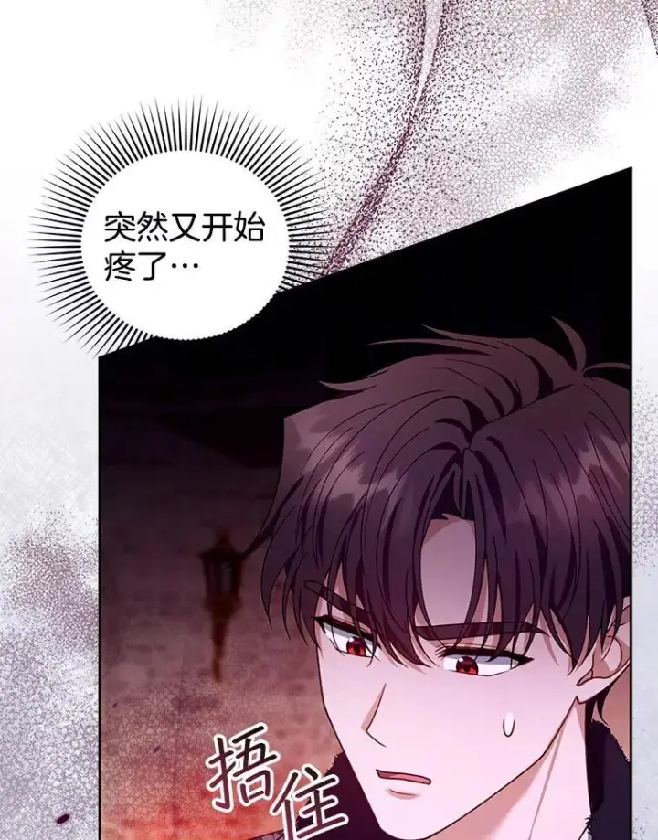 《怀了恶棍的孩子》81.正式继任图82