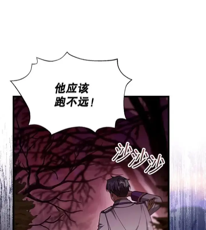 《怀了恶棍的孩子》87.被追赶的利昂图116