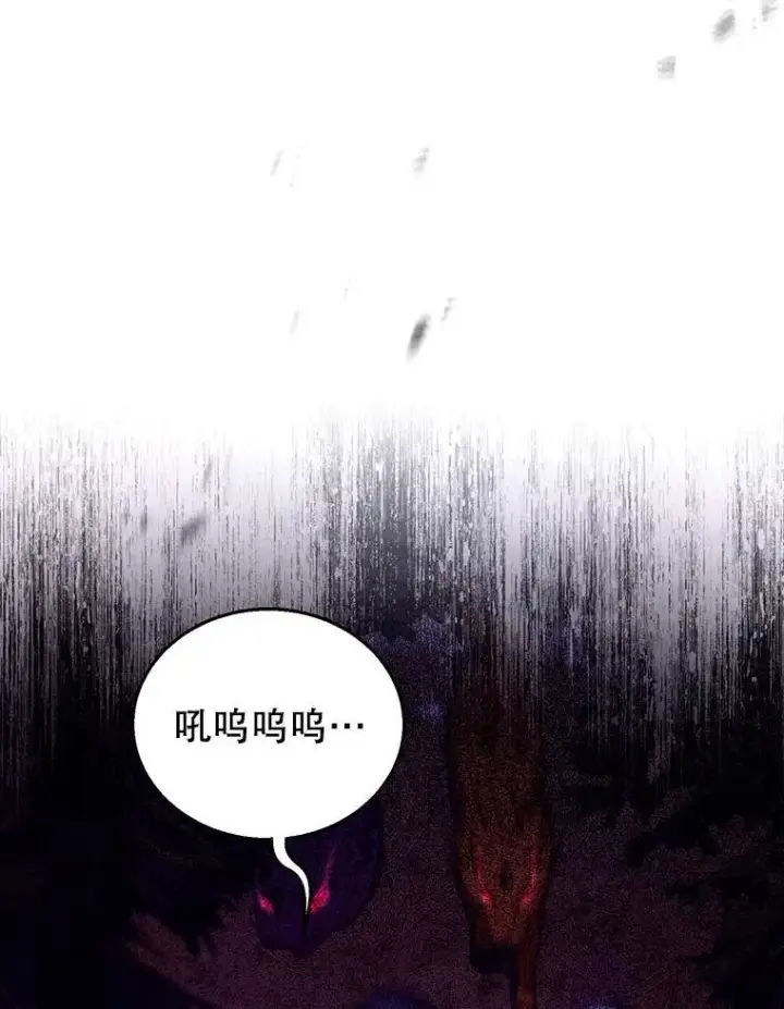 《怀了恶棍的孩子》87.被追赶的利昂图19