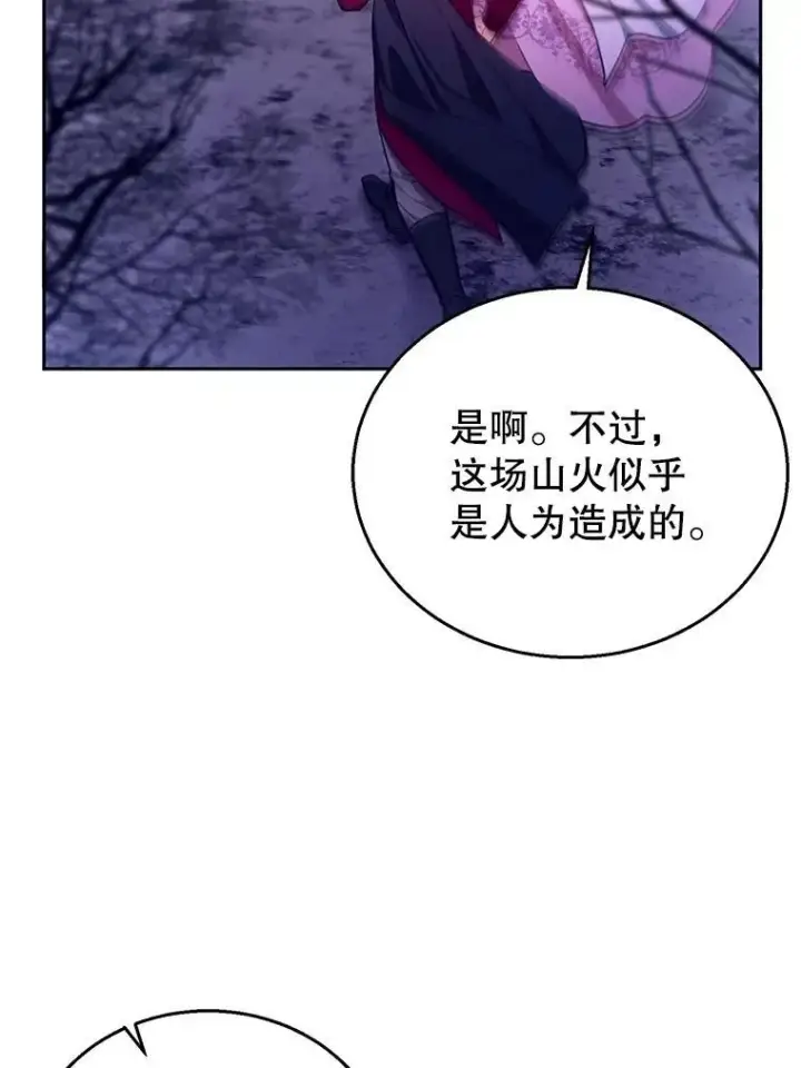 《怀了恶棍的孩子》88.山火图54