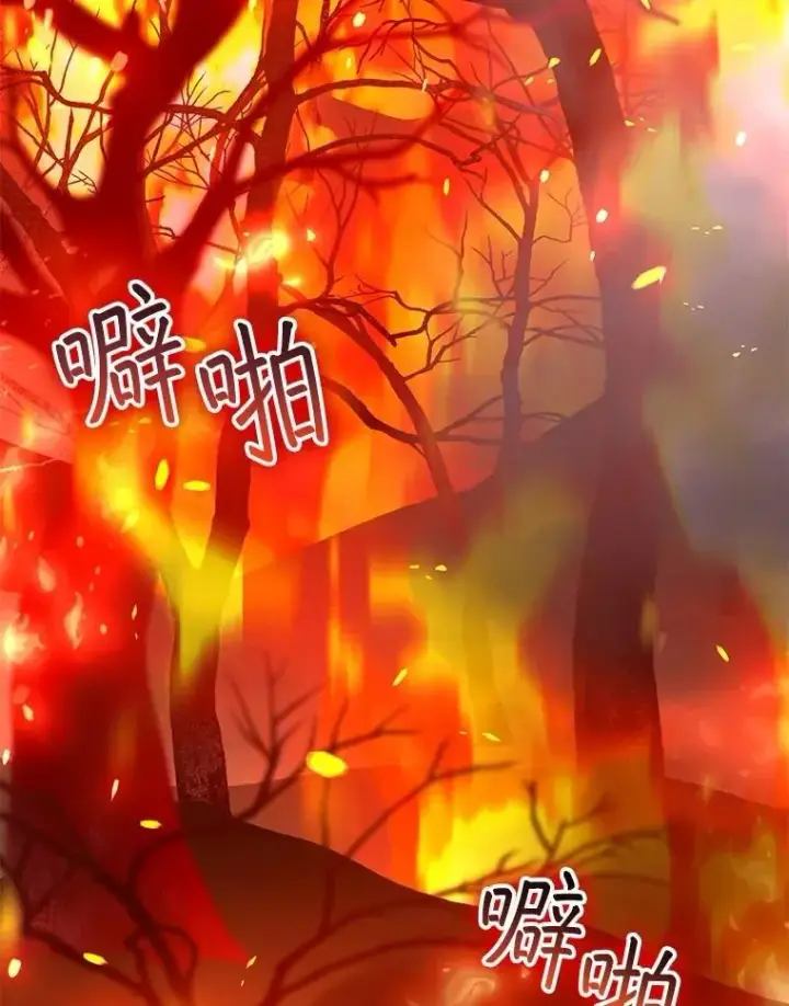 《怀了恶棍的孩子》88.山火图88