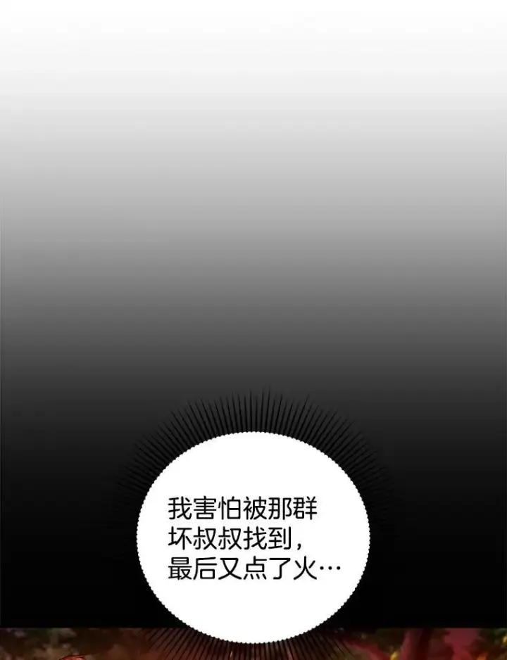 《怀了恶棍的孩子》88.山火图91