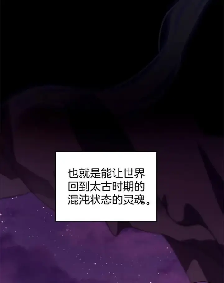 《怀了恶棍的孩子》89.灵魂图103
