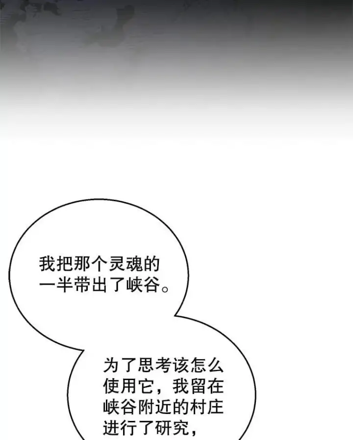 《怀了恶棍的孩子》89.灵魂图110