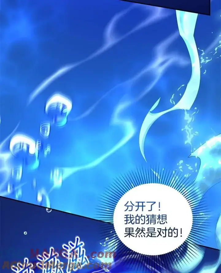 《怀了恶棍的孩子》93.分离灵魂图117