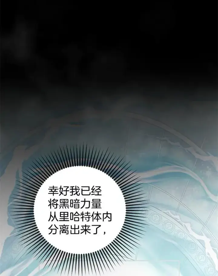 《怀了恶棍的孩子》94.皇帝的试探图102