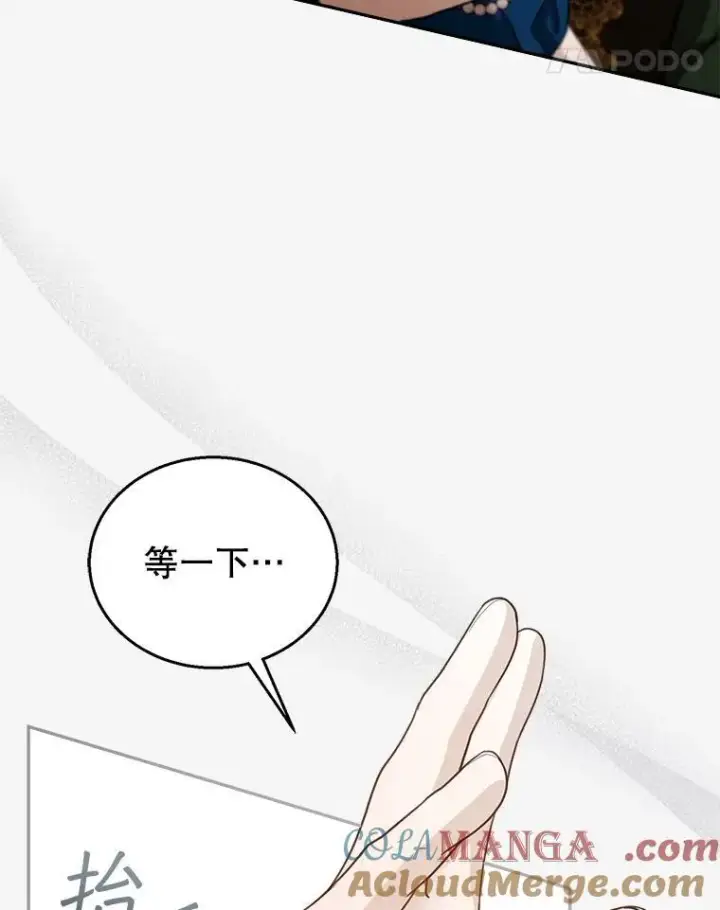 《怀了恶棍的孩子》94.皇帝的试探图21