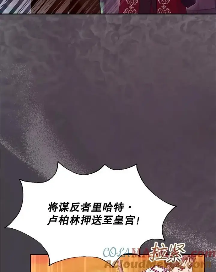 《怀了恶棍的孩子》95.皇帝之死图57
