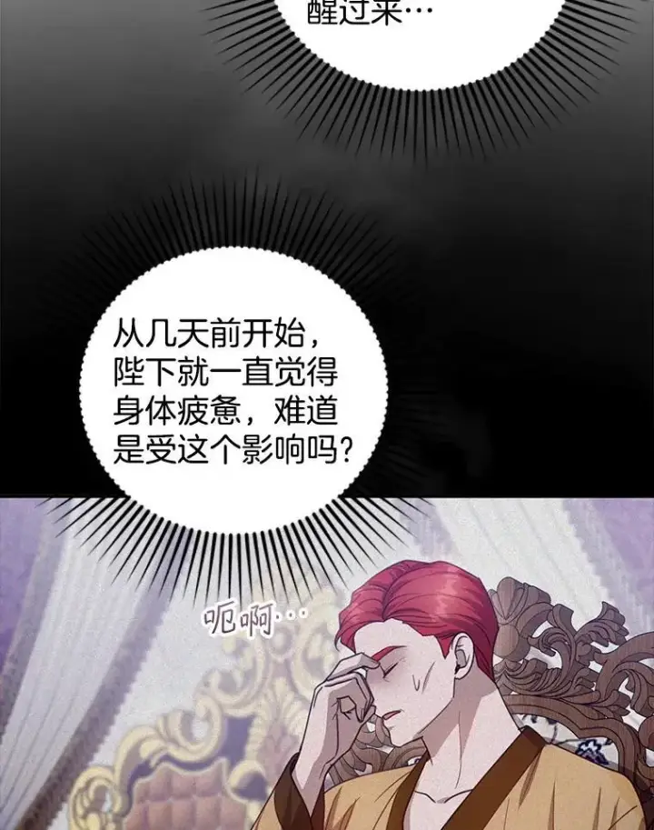 《怀了恶棍的孩子》95.皇帝之死图8