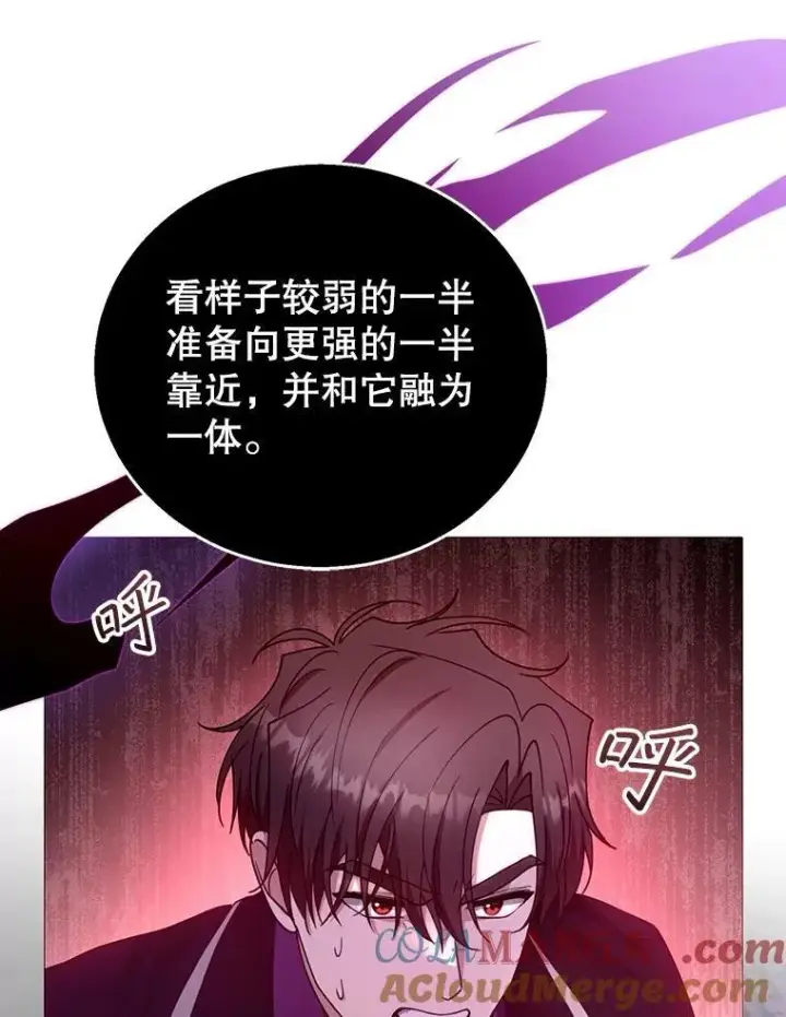 《怀了恶棍的孩子》98.被吞噬的皇宫图121