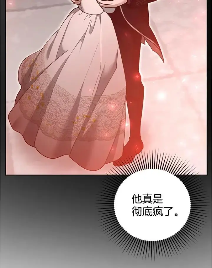 《怀了恶棍的孩子》98.被吞噬的皇宫图42