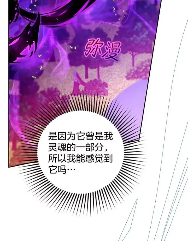 《怀了恶棍的孩子》98.被吞噬的皇宫图95