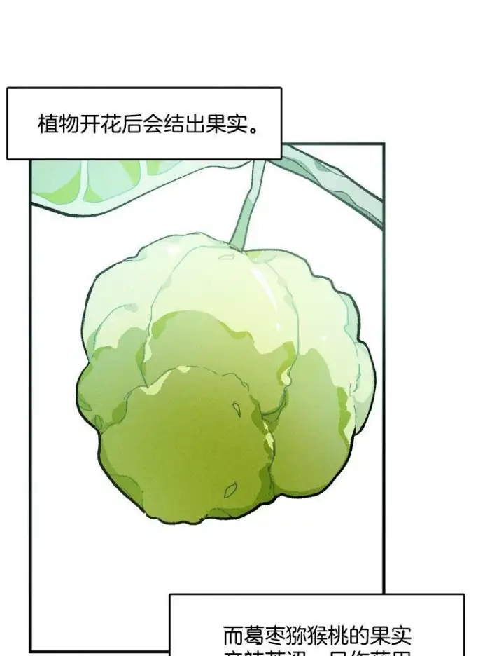 漫画《皇家厨师小姐》12.准继母的心思第63张图