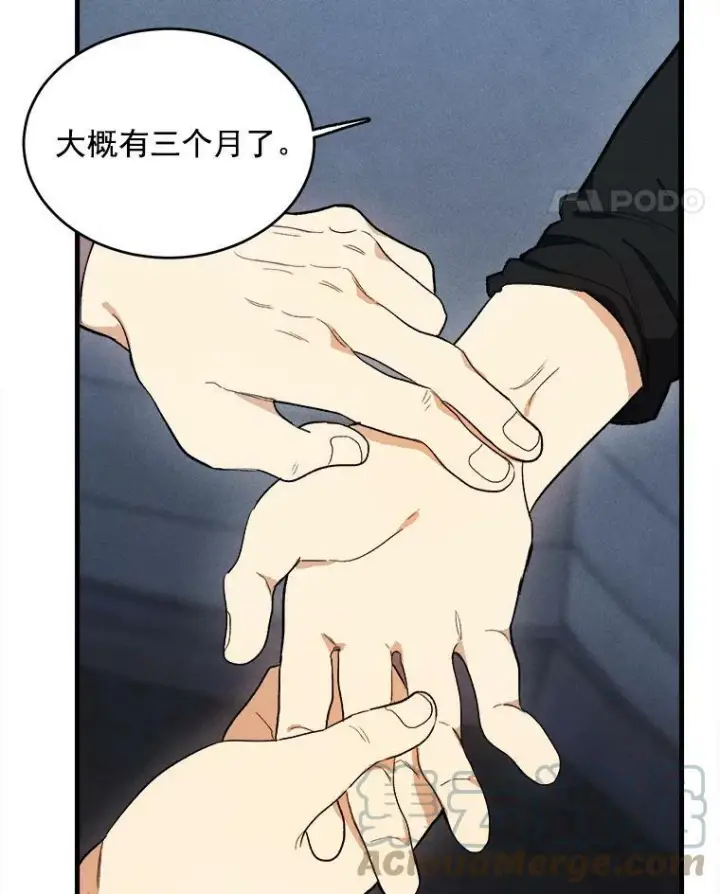 《皇家厨师小姐》27.膳食调理图22