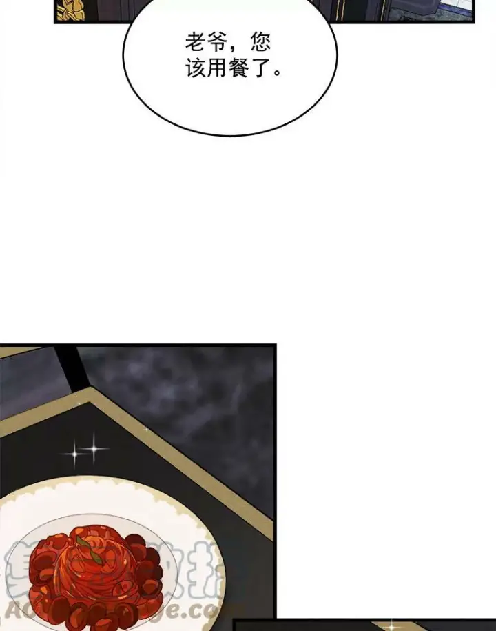 《皇家厨师小姐》27.膳食调理图37