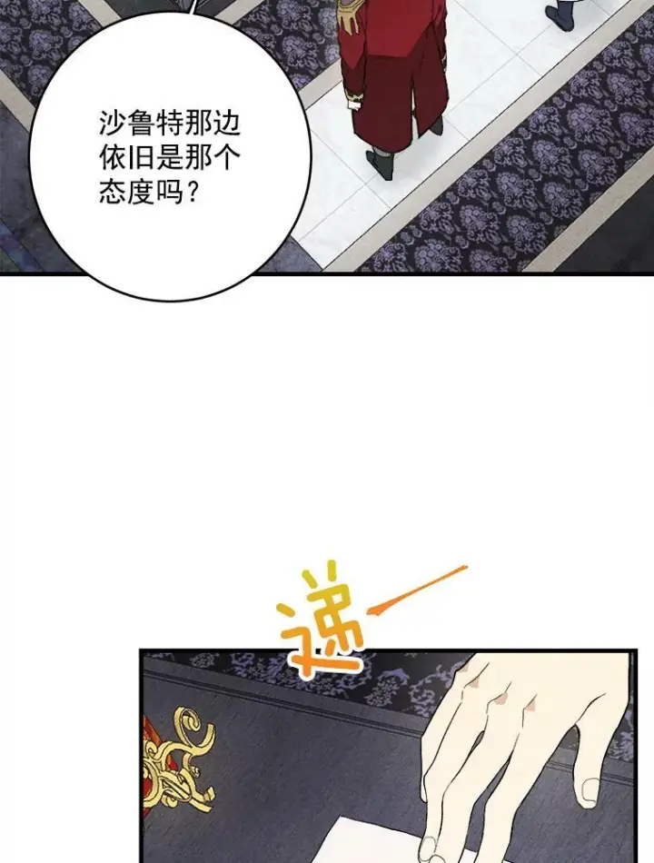 《皇家厨师小姐》28.可爱的家人图21
