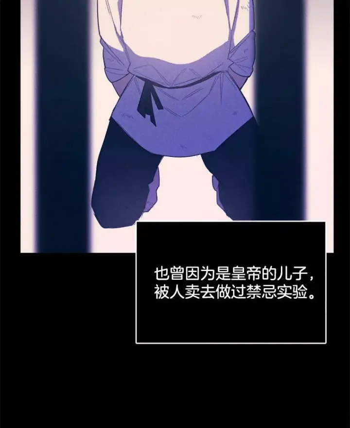 《皇家厨师小姐》33.恢复元气的料理图24