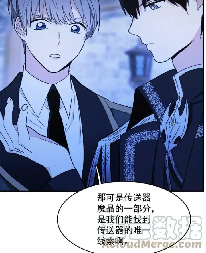 《皇家厨师小姐》33.恢复元气的料理图45