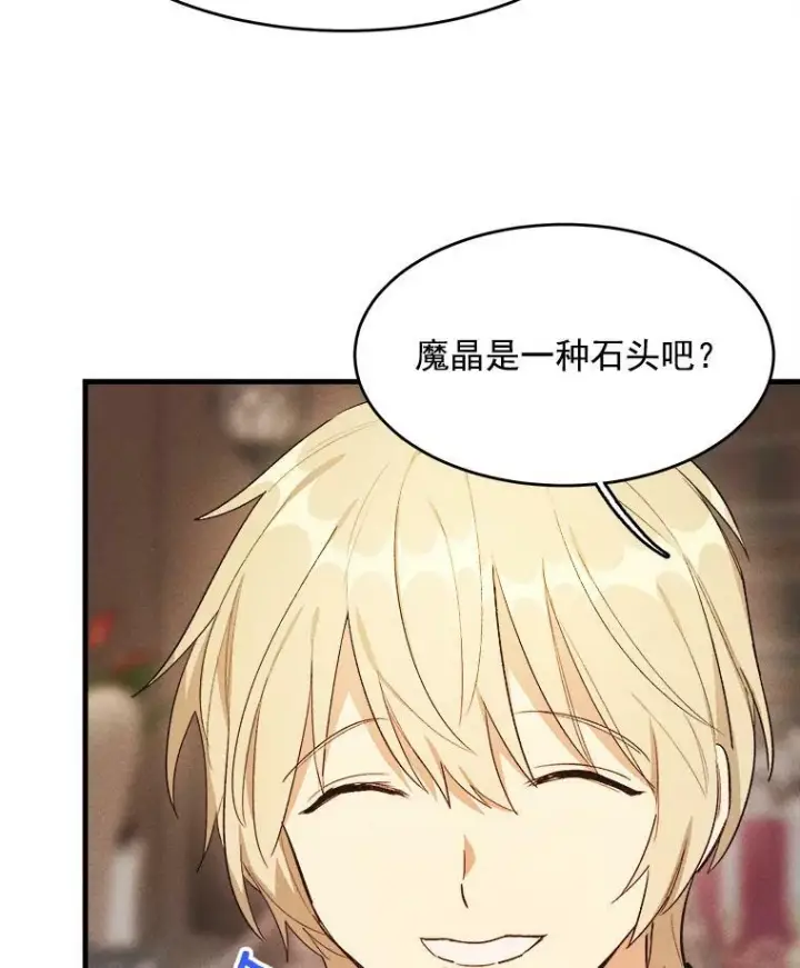 《皇家厨师小姐》33.恢复元气的料理图67