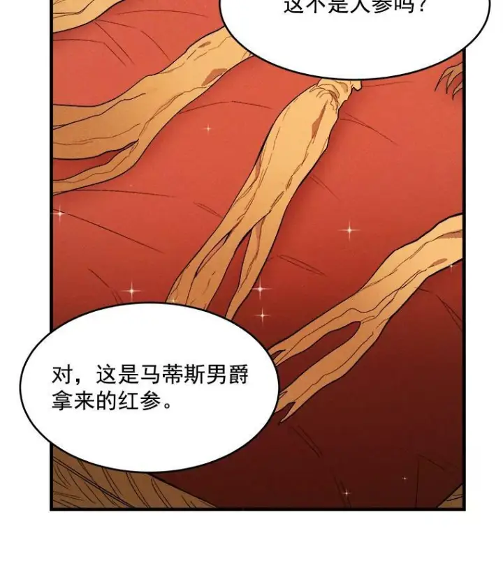 《皇家厨师小姐》33.恢复元气的料理图92