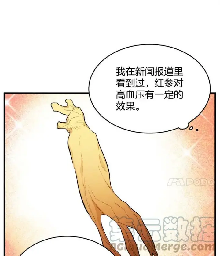 《皇家厨师小姐》33.恢复元气的料理图93