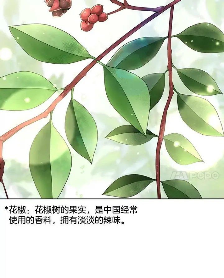 漫画《皇家厨师小姐》57.备考时刻第31张图