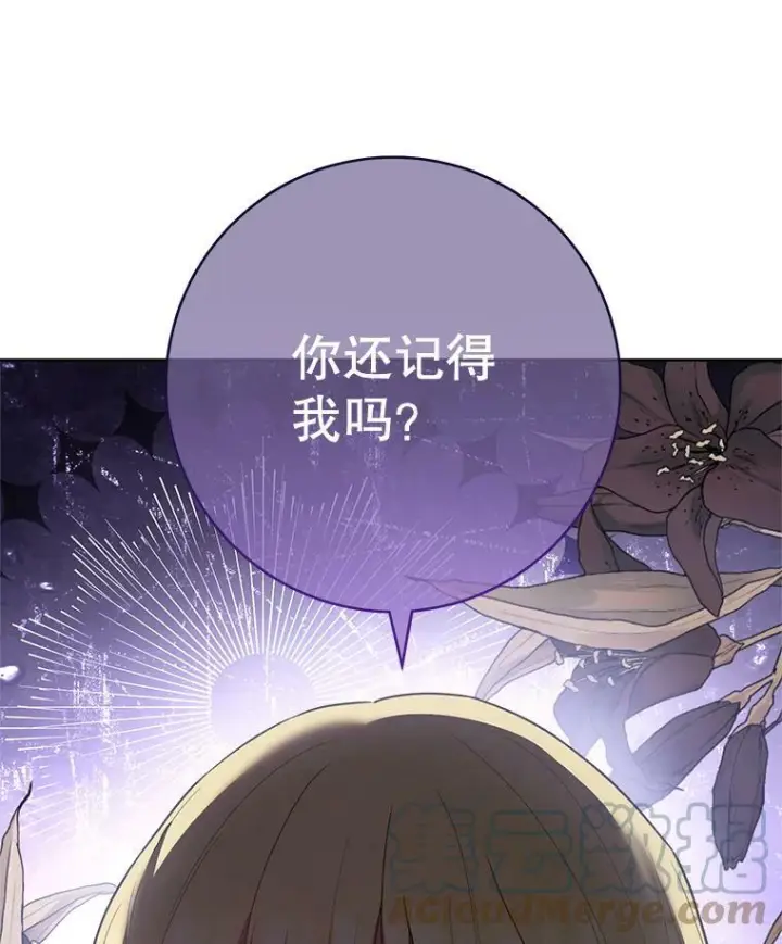 漫画《皇家厨师小姐》80.赌局第5张图