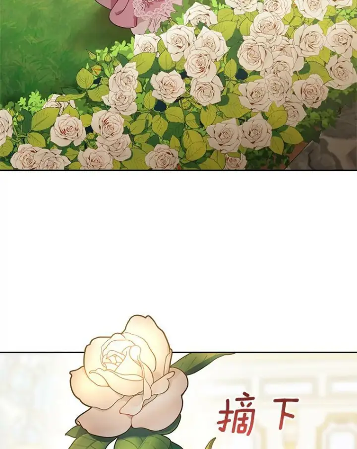漫画《皇家厨师小姐》81.说媒第78张图