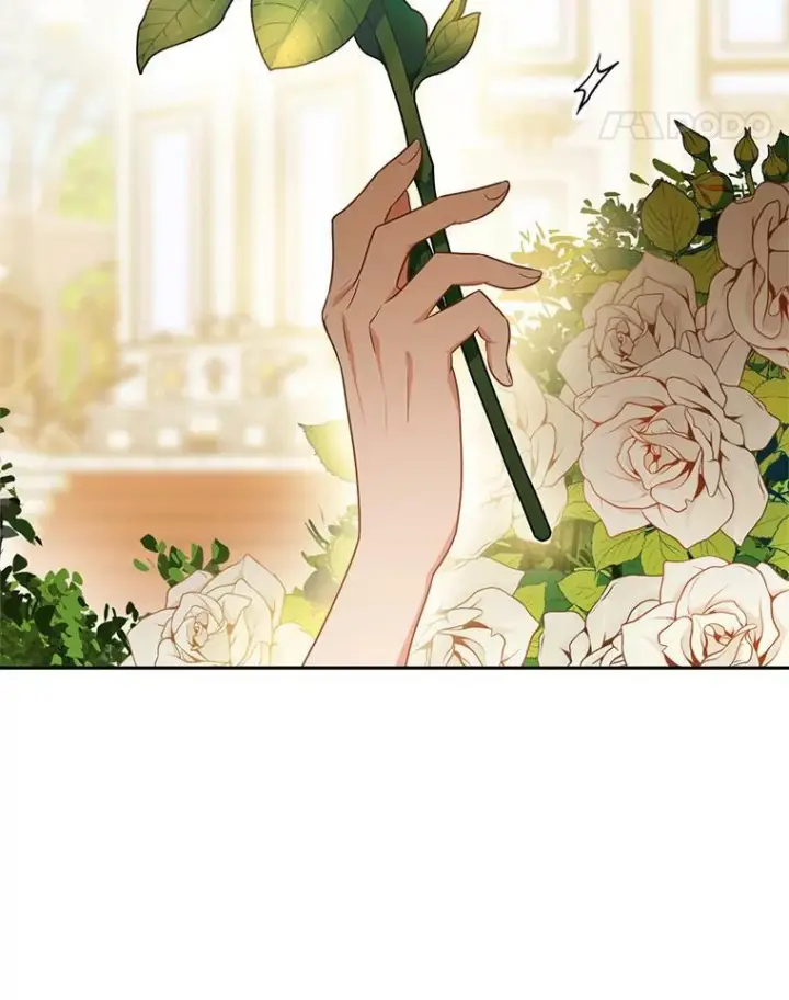 漫画《皇家厨师小姐》81.说媒第79张图