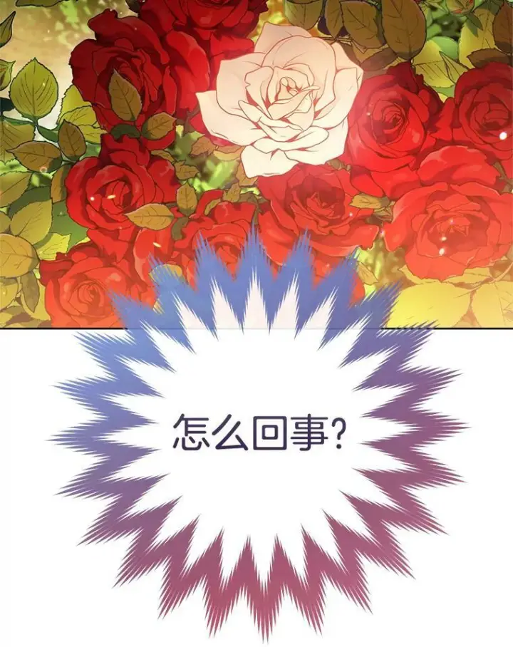 漫画《皇家厨师小姐》81.说媒第98张图