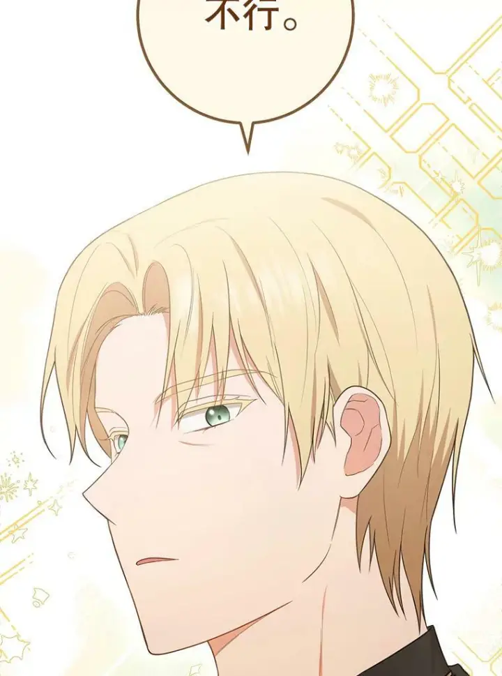 漫画《皇家厨师小姐》82.莉莉和哥哥们第6张图