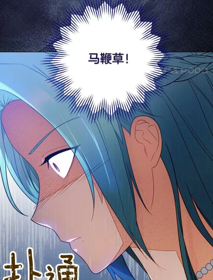 漫画《皇家厨师小姐》83.皇后的茶会第83张图