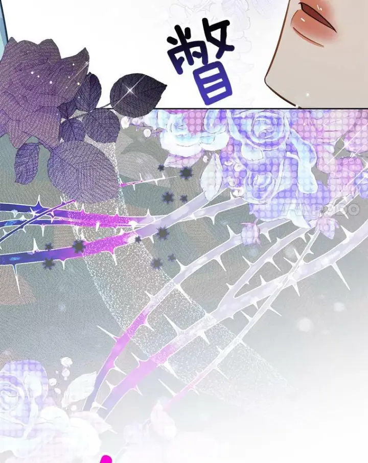 漫画《皇家厨师小姐》88.四皇子第28张图