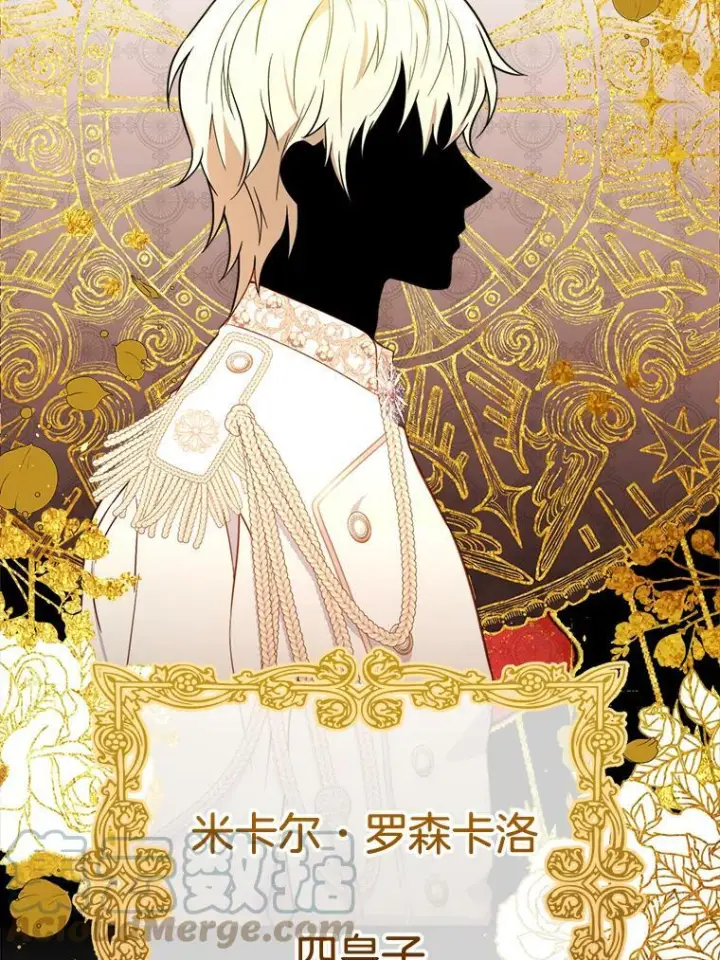 漫画《皇家厨师小姐》88.四皇子第37张图