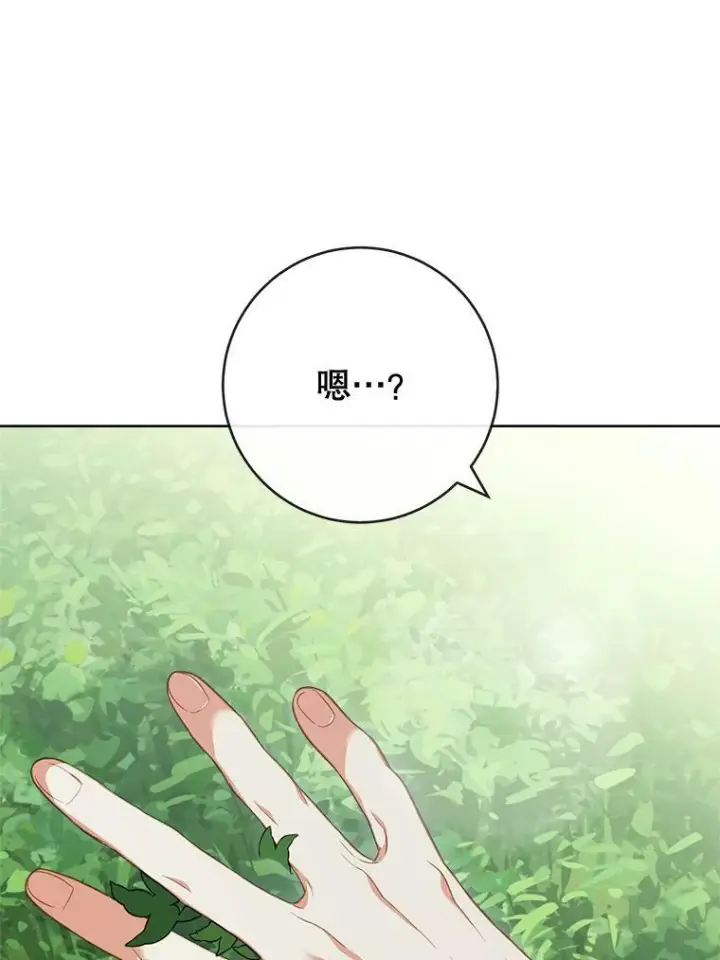 漫画《皇家厨师小姐》88.四皇子第40张图