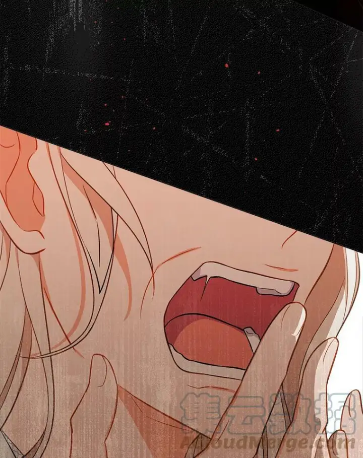 漫画《皇家厨师小姐》89.大夫人第33张图