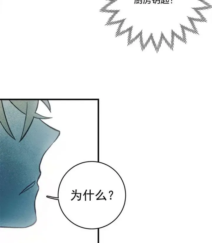 漫画《皇家厨师小姐》4.大少爷第60张图
