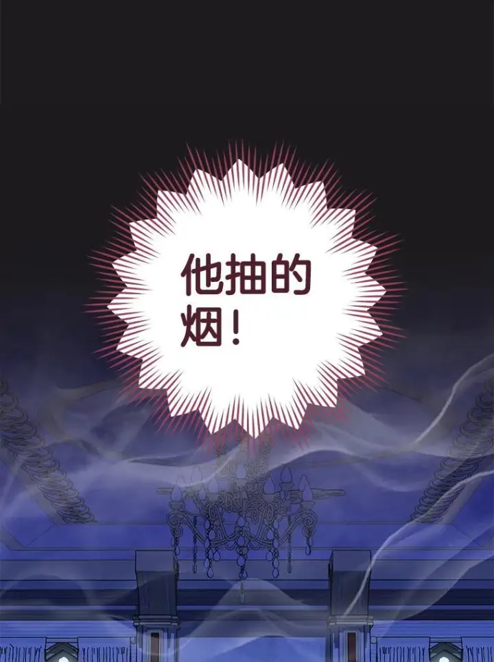 《皇家厨师小姐》135.真正的计划图11