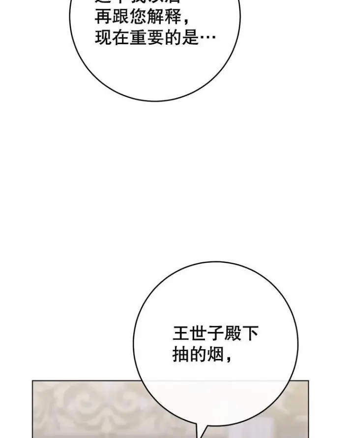《皇家厨师小姐》135.真正的计划图52