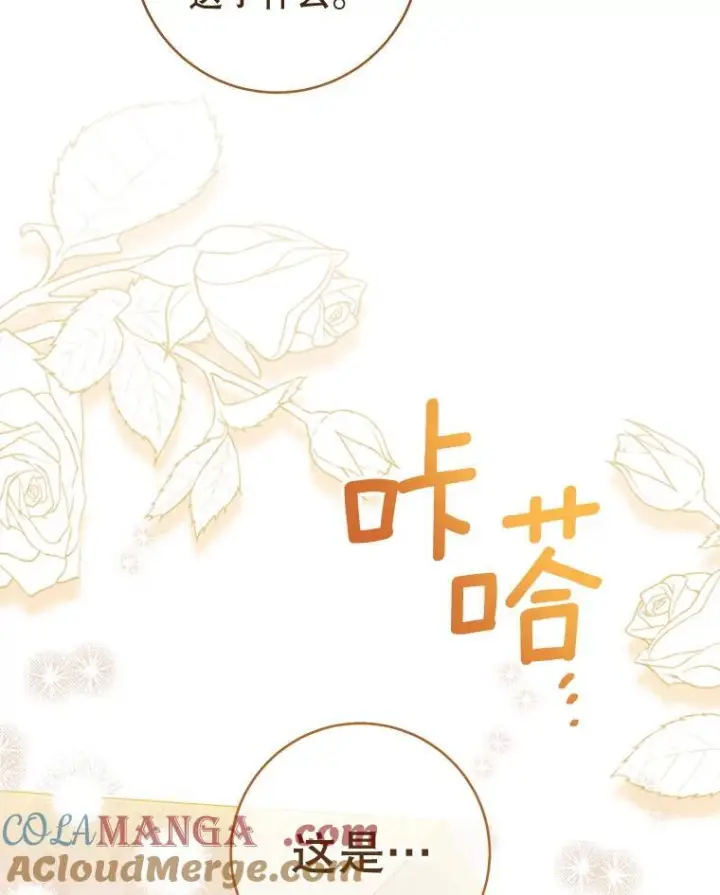 漫画《皇家厨师小姐》139.揭晓身份第17张图