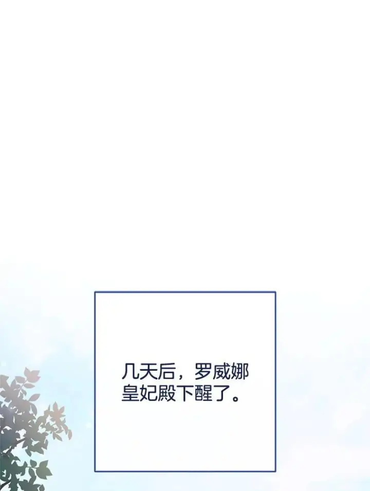 漫画《皇家厨师小姐》149.准备舞会第12张图