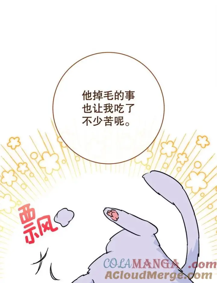 漫画《皇家厨师小姐》164.第164话第137张图