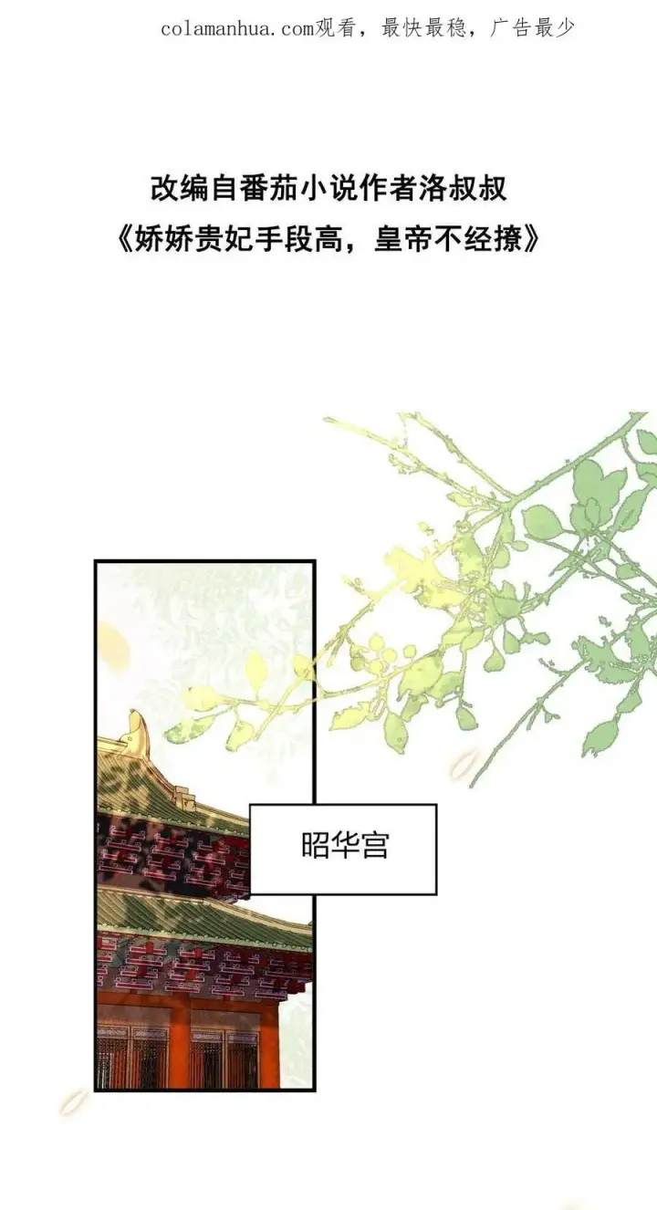 漫画《娇娇贵妃手段高，皇帝不经撩》第29话 昭华宫新成员第2张图
