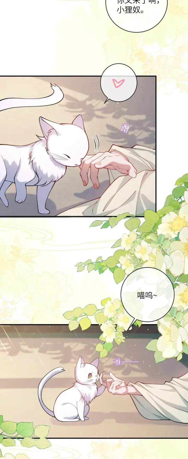 《娇养了个疯批美人儿》017 给点甜头图26