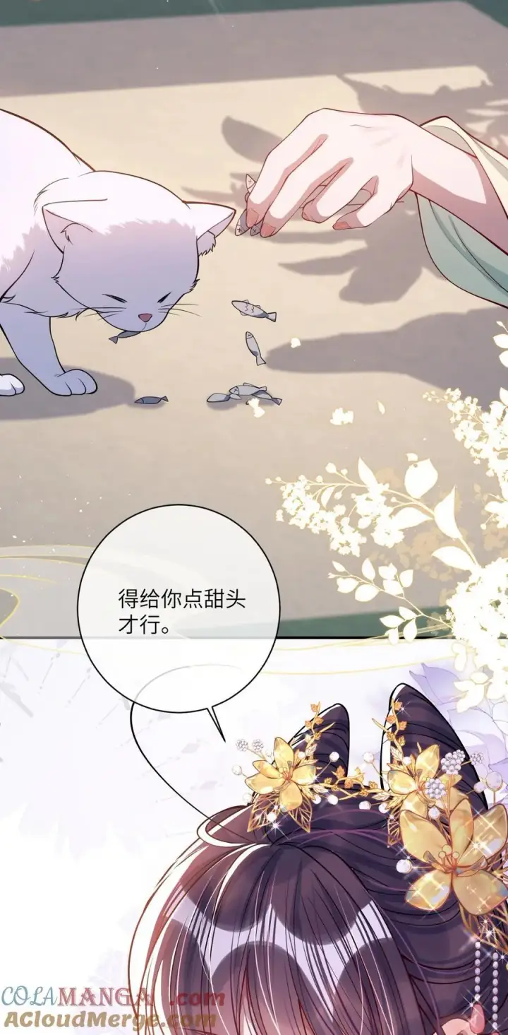 《娇养了个疯批美人儿》017 给点甜头图28