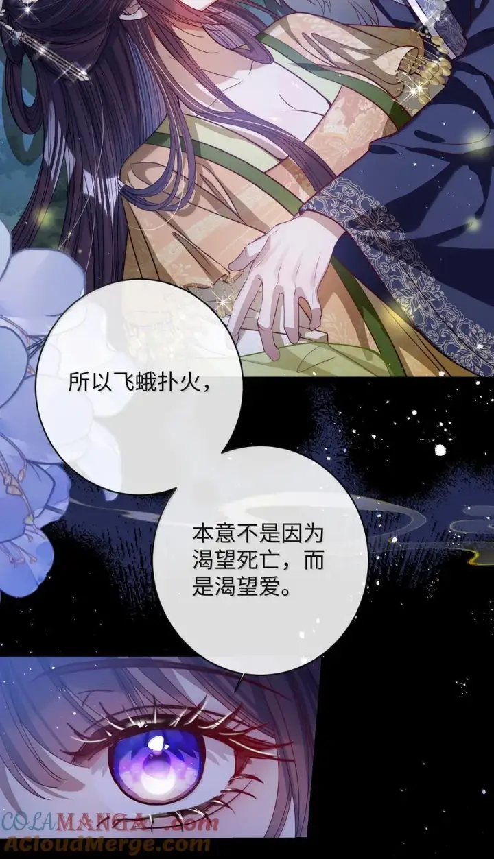 《娇养了个疯批美人儿》045 为爱图13